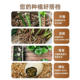 Vermiculite perlite particles root cutting seedling cultivation soil matrix succulent hatching rose soil nutrient soil