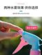 Gardening tools candy-colored watering can sprinkler watering can hand-pressed spray bottle fleshy spray bottle 500 ml