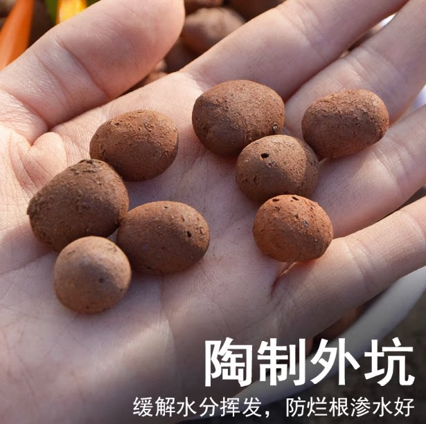 Special succulent nutritious soil for ceratops and bottoms for flowering, backfill fish tank hydroponics and volcanic stone pellet potted plant