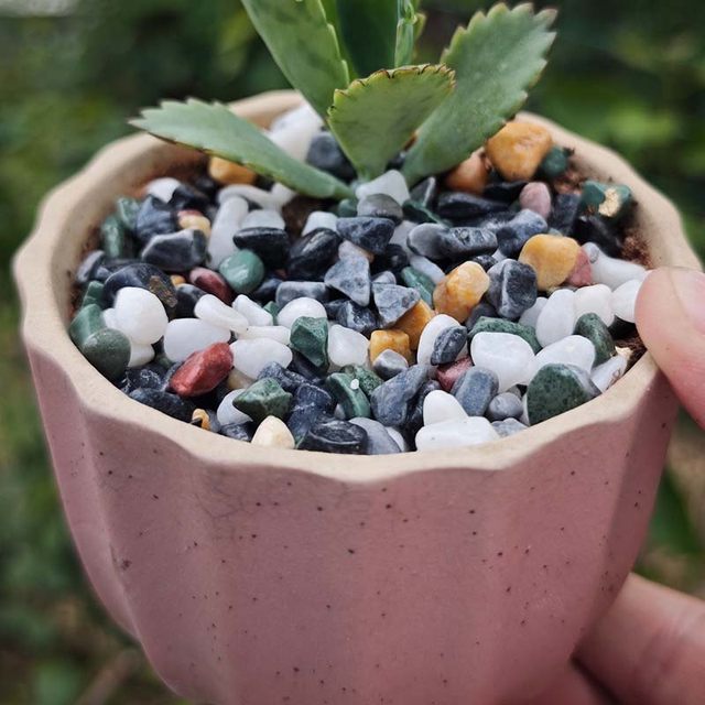 Natural colored stone fish tank special bottom sand succulent potted paving stone multicolored stone rain flower stone landscaping ornaments