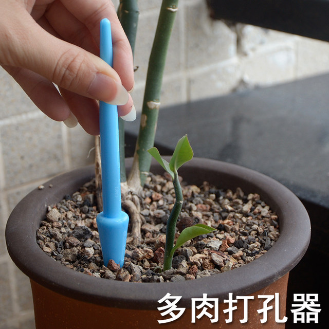 Gardening tool combination set for succulent planting with seedling transplanter bucket shovel rake brush air blowing potted flowers