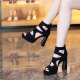 Waterproof thick-heeled high-heeled shoes for women 2025 summer new style hollow thick-soled temperament shoes fish mouth fashion sandals