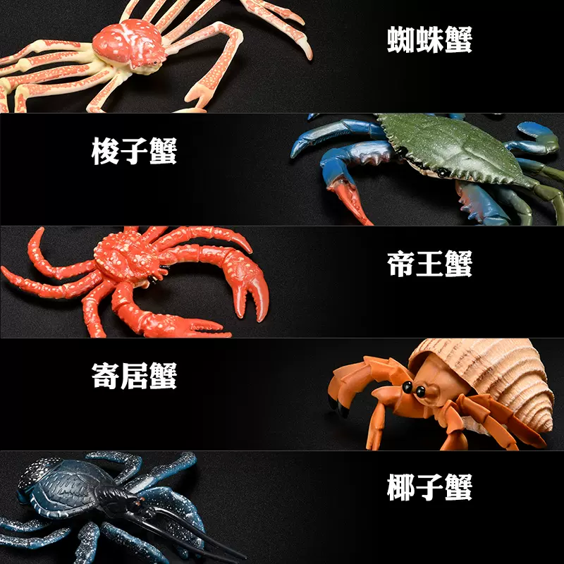 儿童仿真海洋动物玩具模型螃蟹寄居蟹帝王蟹蜘蛛蟹梭子蟹大闸蟹 Taobao