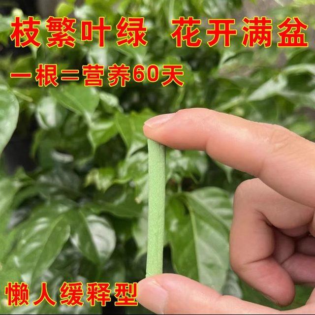 Plant slowdown fertilizer Nutrition Baseball Nourishing Flower Universal Folk Family Pot Potted Planted Planted Feds Fortune Tree Flower Green Plants
