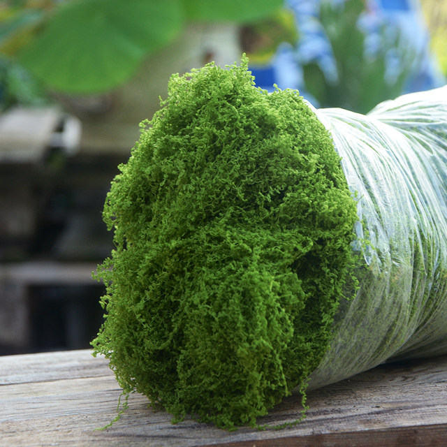 Simulated moss turf bionic artificial fake moss micro landscape layout ornaments lawn bonsai potted plants paving landscaping