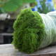 Simulated moss turf bionic artificial fake moss micro landscape layout ornaments lawn bonsai potted plants paving landscaping