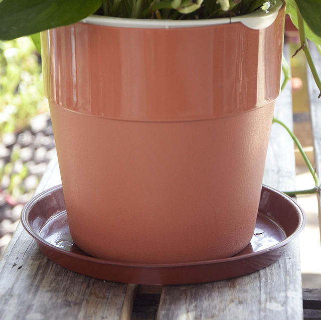 Flower pot tray plastic flower tray thickened chassis large water tray flower pot bottom fleshy round bottom flower pot base