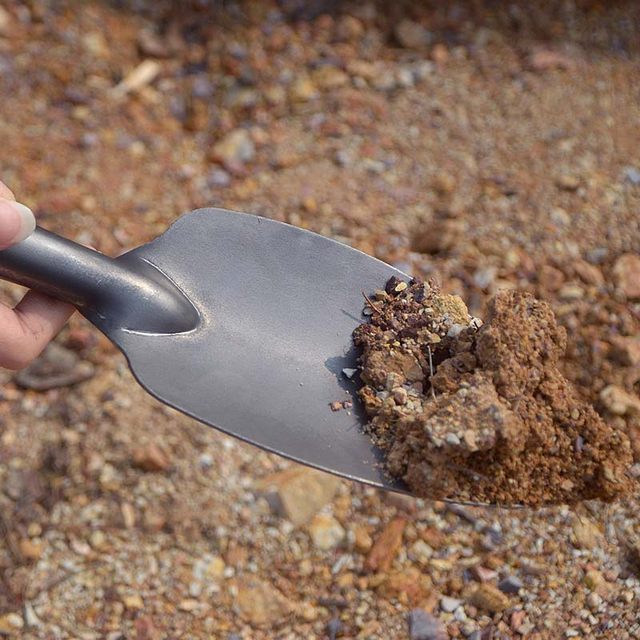 Outdoor small shovel garden flower and soil shovel tools for wild vegetables household vegetables and agricultural tools for loosening soil carbon steel shovel transplanting seedlings