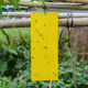 Yellow board double-sided sticky board insect trap blue board paper sticker yellow flying insect small black fly sticky fly trap sticky board moth