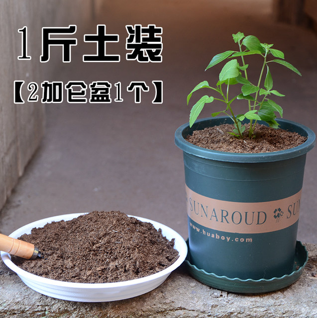 Danish peat soil imported succulent nutrient soil planting soil organic soil flower soil peat soil universal cauliflower matrix