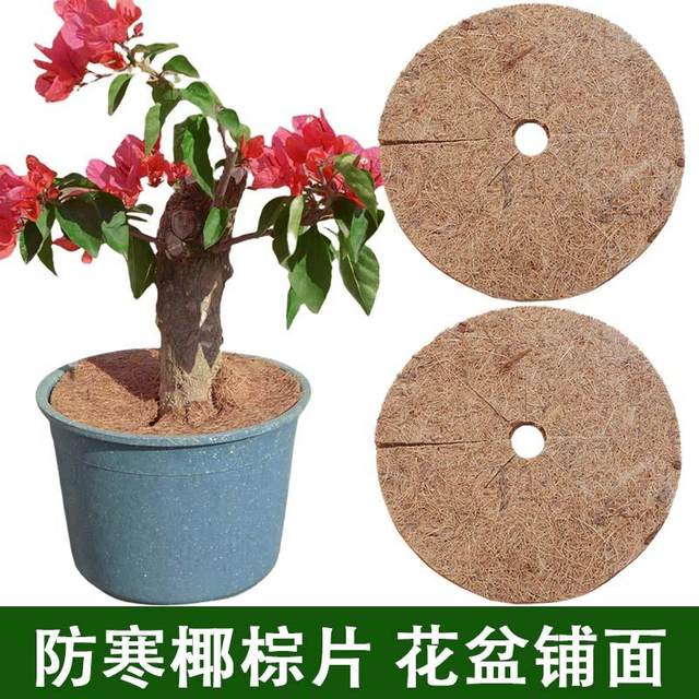 Coconut palm mat flower pot paving natural coconut shred plant decoration round palm sheet weed protection root mulch gasket potted flower pot cover