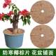 Coconut palm mat flower pot paving natural coconut shred plant decoration round palm sheet weed protection root mulch gasket potted flower pot cover