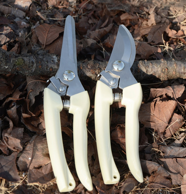 Gardening garden tool branches cutting anti -sliding handle, cutting stainless steel branches, cutting flowers, crop branches, garden scissors
