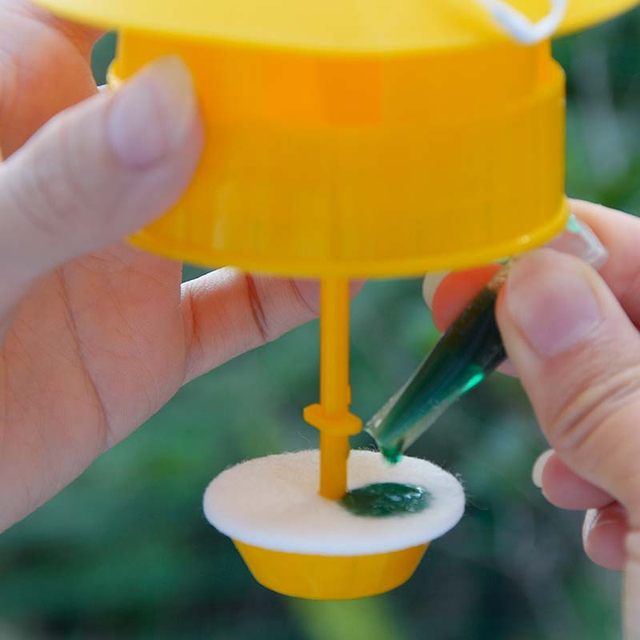 Melon Fruit Fly Attractant Orchard Melon Field Vegetable Garden Trap Powerful Attracting Potion Catching Potion Drosophila Pheromone