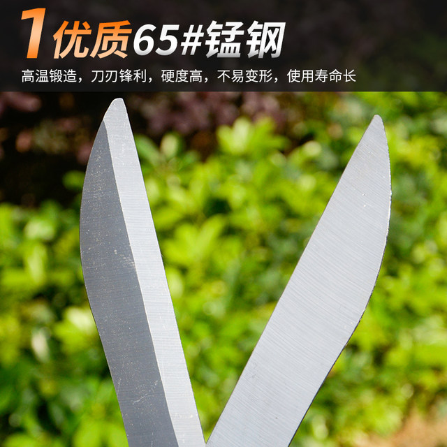 Gardening scissors lengthening large pruning and cutting flowers and plants greening household tools hedge garden pruning trees sharp branches and shears