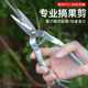Stainless steel garden pruning shears, fruit picking shears, grape and orange special picking tools, garden fruit tree scissors, spring shears