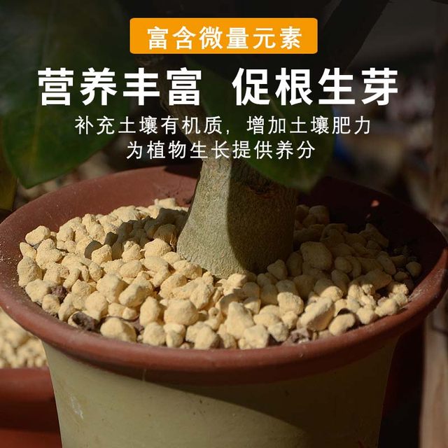 Kanuma soil whole pack imported from Japan, deer marsh soil particles small meat paving stone planting soil meat special soil hard