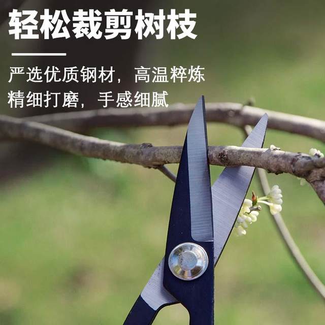 Leaf bud scissors, bonsai orchid bud splitting scissors, grape picking special potted vegetables and fruits pruning twig bud scissors