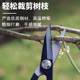 Leaf bud scissors, bonsai orchid bud splitting scissors, grape picking special potted vegetables and fruits pruning twig bud scissors
