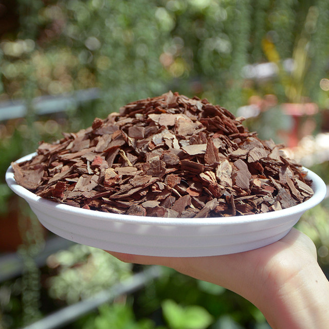 Decomposed pine bark bulk fermented pine phosphorus orchid cultivation substrate Dendrobium officinale special plant material orchid nutrient soil