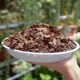 Decomposed pine bark bulk fermented pine phosphorus orchid cultivation substrate Dendrobium officinale special plant material orchid nutrient soil