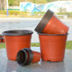 Two-color flower pot planting seedling cultivation pot nutrition pot plastic disposable thickened gardening green planting pot succulent pot cultivation