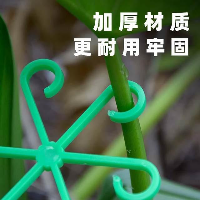 Monstera support pole flower support frame branch trunks plant anti-looping support green plant flower stand fixing tool
