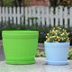 Extra large wooden barrel plastic round plastic imitation ceramic flower and vegetable lotus small European flower pot with large delivery tray