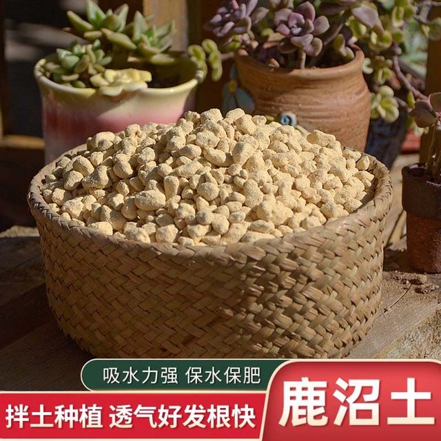 Kanuma soil whole pack imported from Japan, deer marsh soil particles small meat paving stone planting soil meat special soil hard