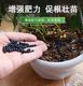 Organic fertilizer household flower fertilizer general fertilizer flower balcony indoor flower planting flower fertilizer vegetable potted plant meat
