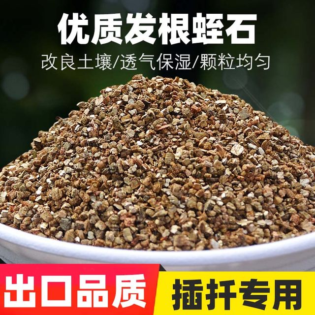 Horticulture Vermiculite Perlite Succulents with rose cuttings sowing leaves and roots for seedlings and seedlings and turtle hatching