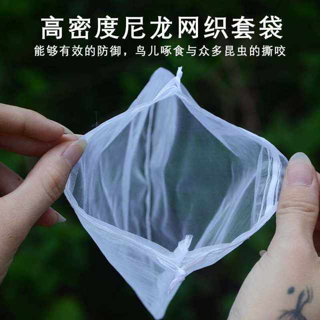 Fruit bag anti -bird net gauze insect -proof bag fruit tree fig grape peach strawberry protective bag fruit flies plantation
