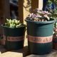 Classic gallon flower pot special green potted potted small flower pot balcony balcony rose resin plastic flower pot
