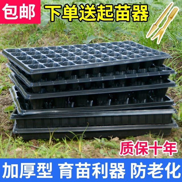 Thickened Darbon seedlings Cultivation Box Point Poor Poor Plant Nursery Box Cultivation Plastic Nutrition Basin Cutting