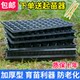 Thickened Darbon seedlings Cultivation Box Point Poor Poor Plant Nursery Box Cultivation Plastic Nutrition Basin Cutting