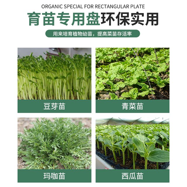 Flat tray seedling tray tray hole tray non-hole tray sprout seedling tray seedling tray matching tray universal tray with holes