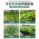 Flat tray seedling tray tray hole tray non-hole tray sprout seedling tray seedling tray matching tray universal tray with holes