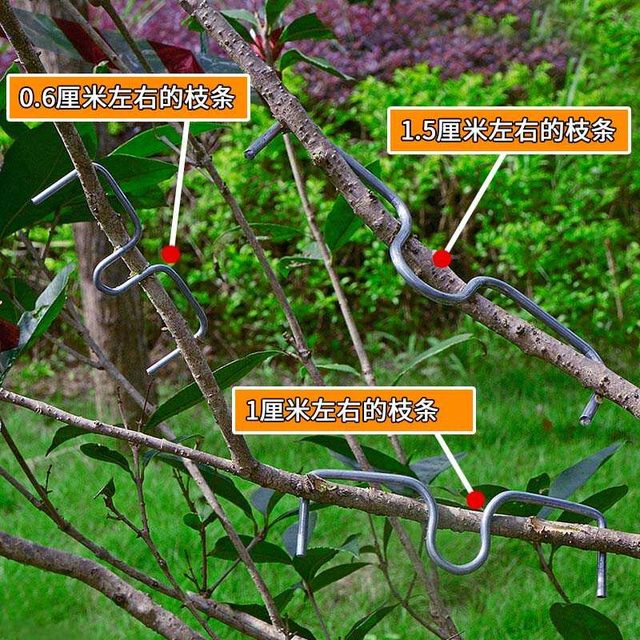 M-type branch pulling tool fruit tree branch pulling tool branch pulling tool s branch pressing bend branch shape branch pulling tool fixed branch pulling tool fixed