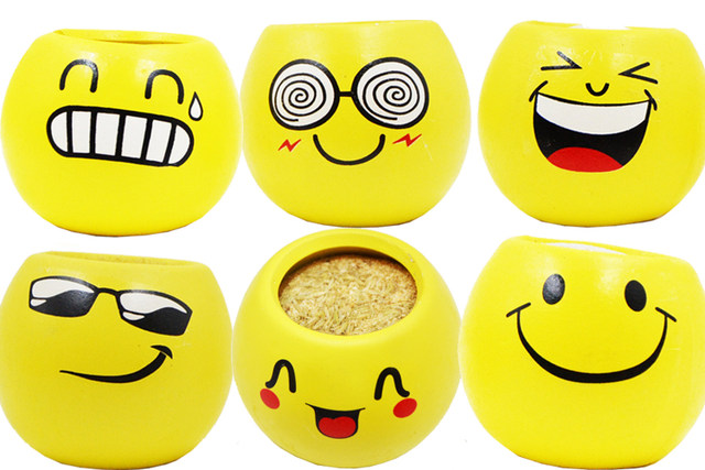 Grass head doll office mini plant small potted grass planting expression desktop diy potted plant student gift