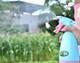Gardening tools Candy -colored sprinkle pot sprinkler multi -meat spray pot hand -poured flower pot spray water bottle house alcohol
