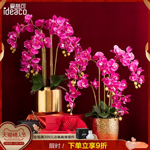 新年花盆栽 新人首单立减十元 22年2月 淘宝海外