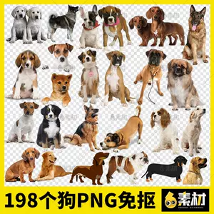 犬背景 新人首单立减十元 22年8月 淘宝海外
