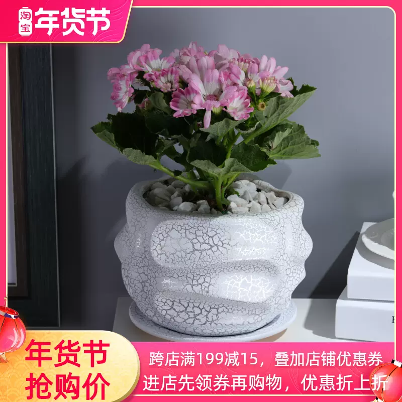 万年青花盆陶瓷 新人首单立减十元 22年1月 淘宝海外