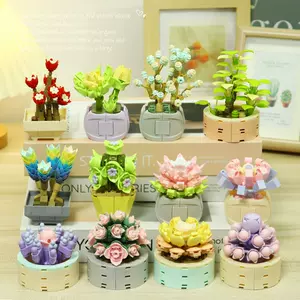 多肉植物小玩具 新人首单立减十元 22年7月 淘宝海外