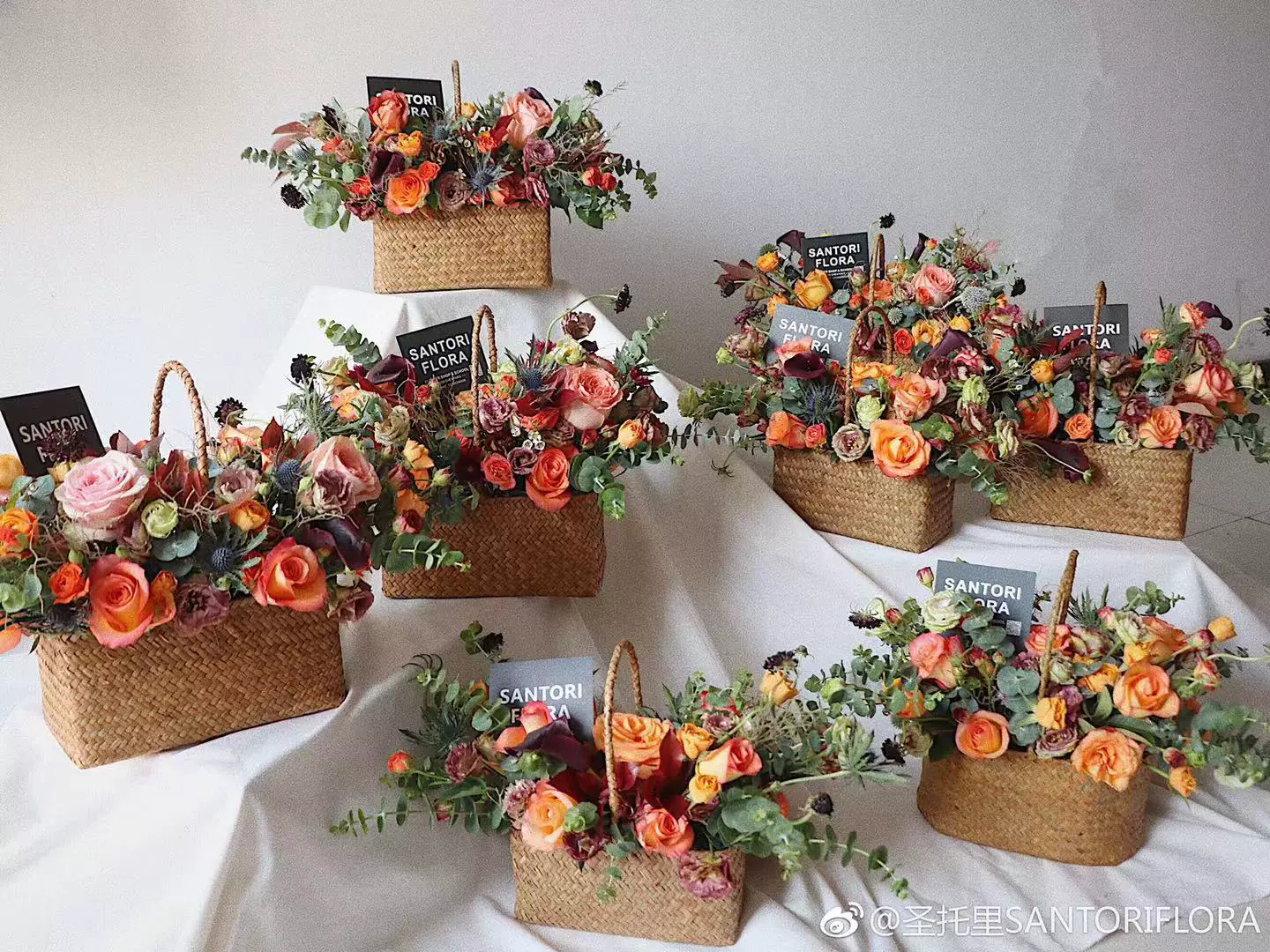 水草提篮 新人首单立减十元 21年11月 淘宝海外