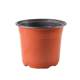 Two-color soft pot, disposable seedling pot, home-use succulent seedling pot, nutrition cup planting pot, simple strawberry flower pot