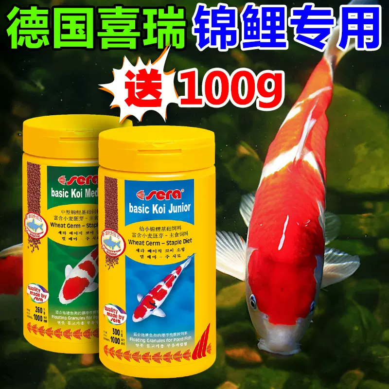 蓝绿藻 新人首单立减十元 21年11月 淘宝海外