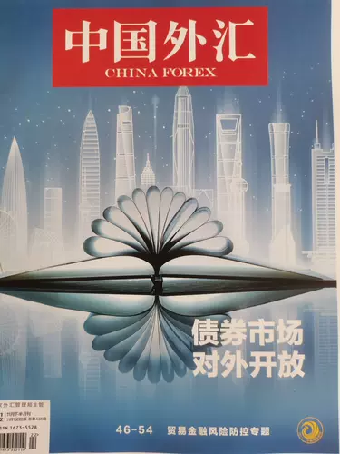 中国外汇 杂志