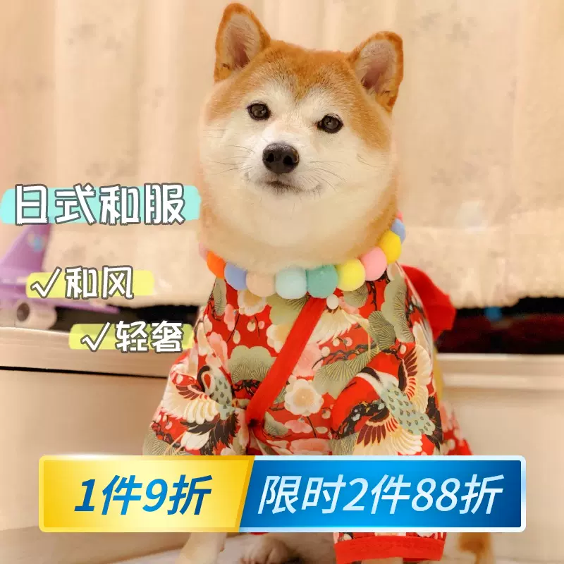宠物和服柴犬 新人首单立减十元 2021年10月 淘宝海外