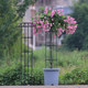 Medium-sized gardening flower stand single double circle umbrella-shaped multi-ring climbing pergola clematis climbing frame plant rose flower stand